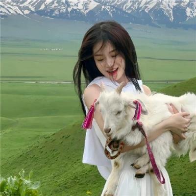 以法之名罪无可赦＆无赦之判